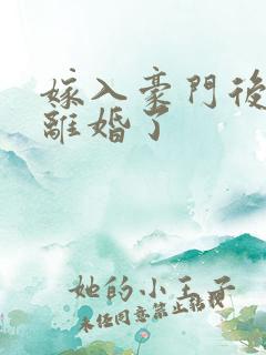 嫁入豪门后我又离婚了