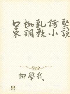 口枷乳铐紧缚拘束调教小说