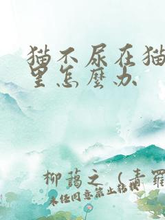 猫不尿在猫砂盆里怎么办