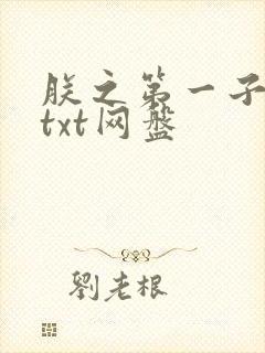 朕之第一子沉坞txt网盘