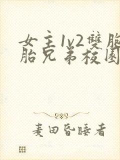 女主1v2双胞胎兄弟校园小说