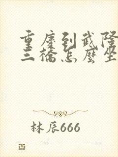 重庆到武隆天生三桥怎么坐车