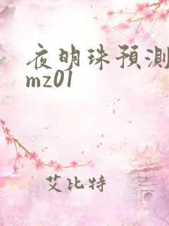 夜明珠预测 ymz01
