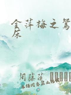 金萍梅之鸳鸯铣床