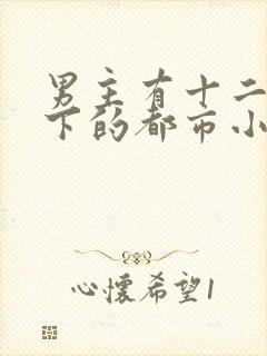 男主有十二个手下的都市小说