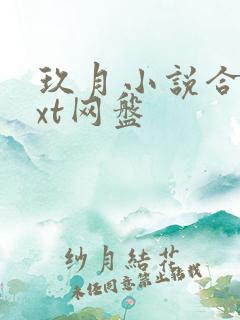 玖月小说合集txt网盘