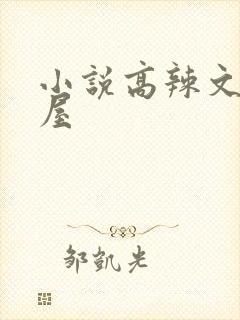 小说高辣文御宅屋