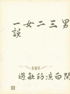一女二三男事小说