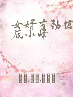 女婿有劲枪枪到底小峰