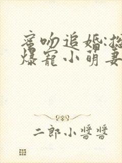 蜜吻追婚:总裁爆宠小萌妻