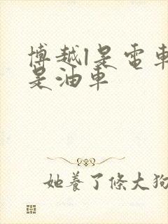 博越l是电车还是油车