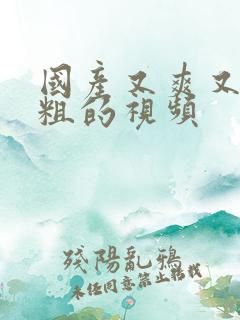 国产又爽又猛又粗的视频