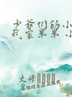 少爷们的小女仆我家半半 小说