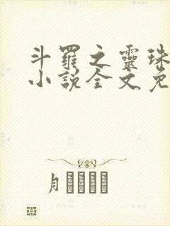 斗罗之灵珠神剑小说全文免费阅读全文