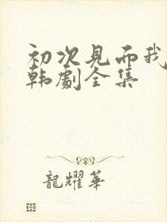 初次见面我爱你韩剧全集