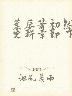 叶辰萧初然最新更新章节 下载