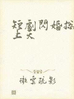 短剧闪婚总裁宠上天