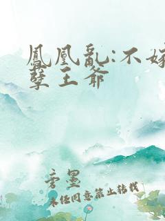 凤凰乱:不嫁妖孽王爷
