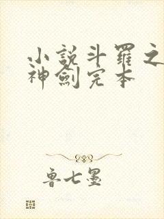 小说斗罗之灵珠神剑完本