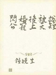 闪婚后被总裁老公宠上天短剧免费观看