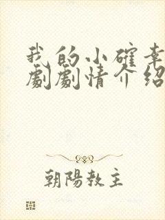 我的小确幸电视剧剧情介绍