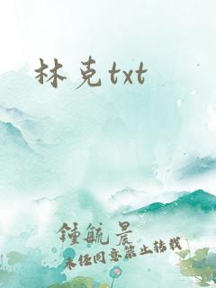 林克txt