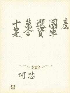 十万选国产车还是合资车