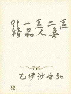 91一区二区三精品人妻