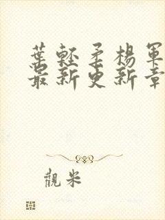 叶轻柔杨军小说最新更新章节免费阅读