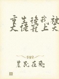 重生后我被五个大佬宠上天