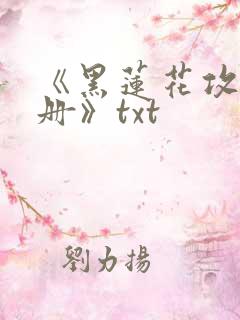 《黑莲花攻略手册》txt