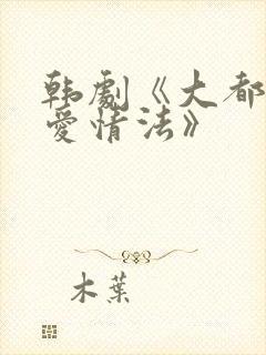 韩剧《大都市的爱情法》