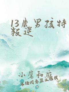 13岁男孩特别叛逆