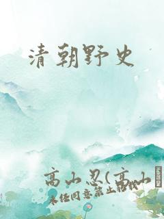 清朝野史