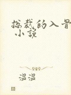 总裁的入骨宠妻 小说