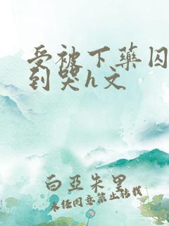 受被下药囚禁脔到哭h文