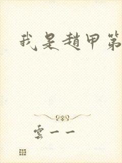 我是赵甲第小说