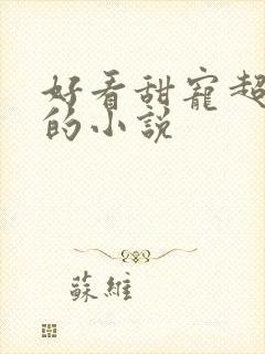 好看甜宠超级宠的小说