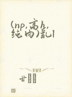 (np,高h,纯肉)乱l