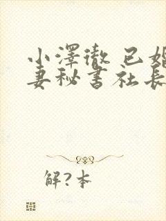 小泽彻 已婚人妻秘书社长室