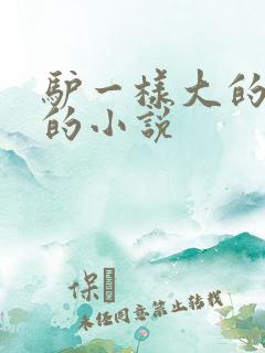 驴一样大的凶器的小说