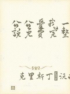 公公爱我一次小说免费完整版阅读
