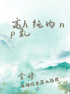 高h 纯肉 np 乱