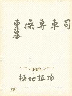 曹操专车司机招募