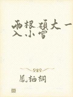 两根硕大一起挤入小雪