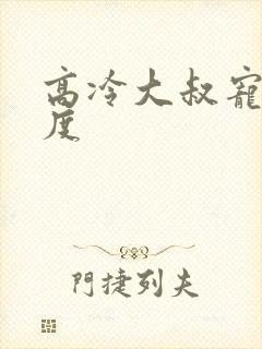 高冷大叔宠妻无度