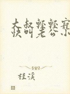 大叔轻轻宠宝贝快叫老公小说