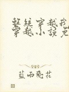 系统穿越我没有穿越小说免费阅读