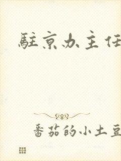 驻京办主任对手