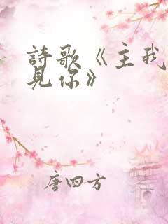 诗歌《主我要遇见你》